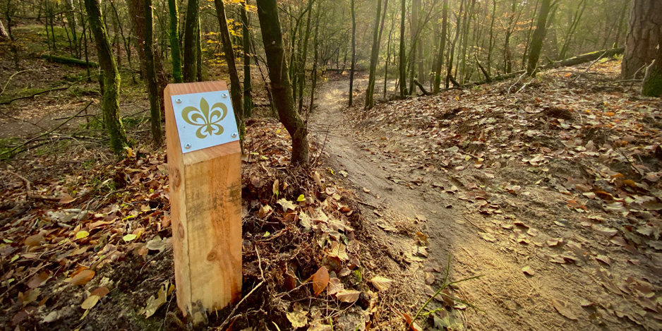 mountainbiking in the forest of Veluwe in The Netherlands near Het Roode Koper